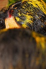 101_6767