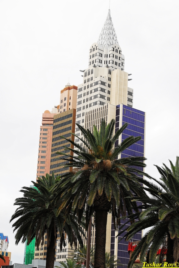 Las_Vegas.0551.jpg