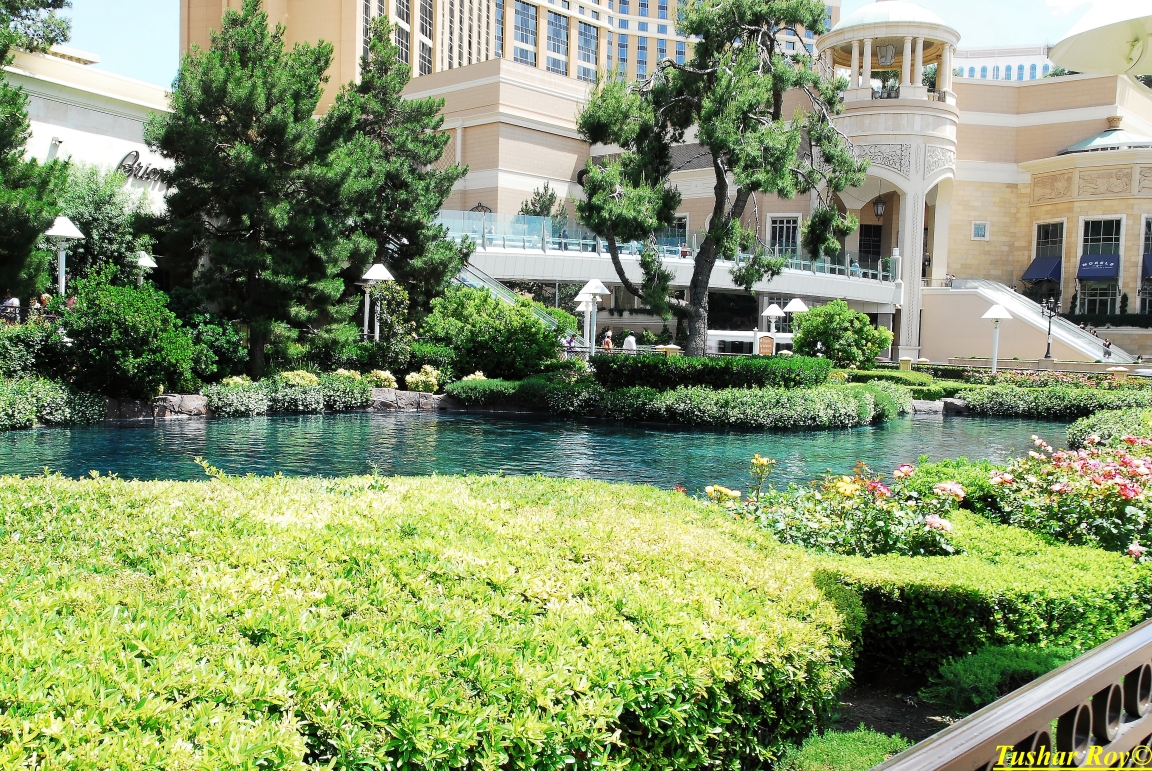 Las_Vegas.1272.jpg