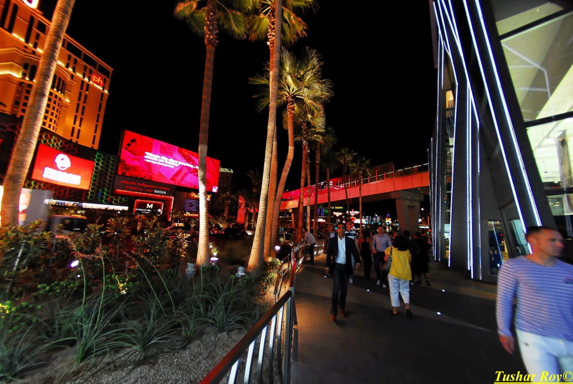 Las_Vegas.1323.jpg