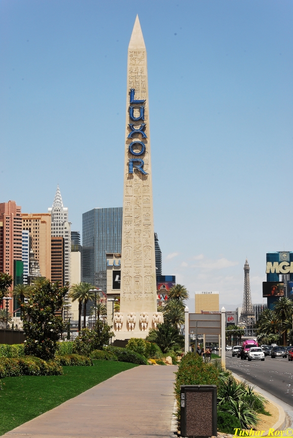 Las_Vegas.1372.jpg