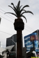 Las_Vegas.0558